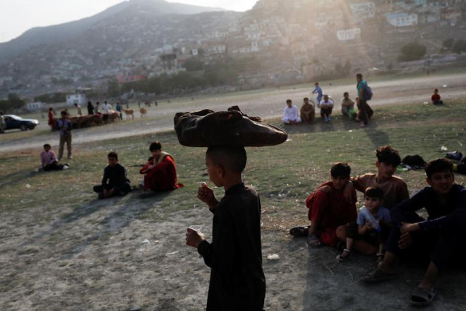 Một cậu bé bán hàng rong tại chợ gia
súc ở Kabul