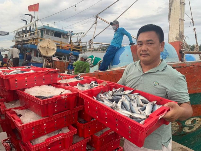 Ngư dân Phạm Tuyển bên 250 tấn cá nục đánh bắt được. Ảnh: T.A