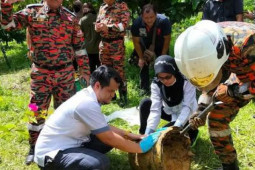 Công nghệ thông tin - Thêm nhiều nơi ở Đông Nam Á có "vật thể lạ", nghi mảnh tên lửa Trung Quốc