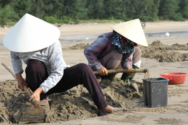 Hàng trăm người chen chúc lật cát tìm ngao trên bãi biển - 5