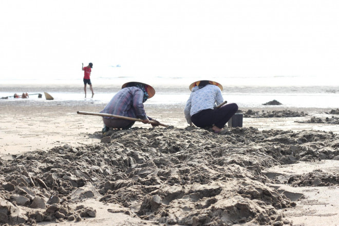 Hàng trăm người chen chúc lật cát tìm ngao trên bãi biển - 7