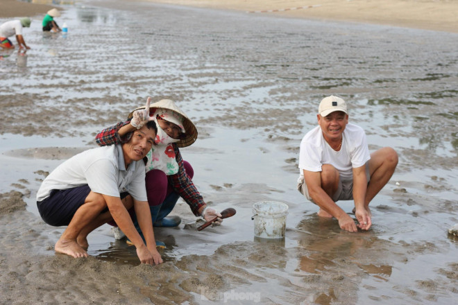 Hàng trăm người chen chúc lật cát tìm ngao trên bãi biển - 10