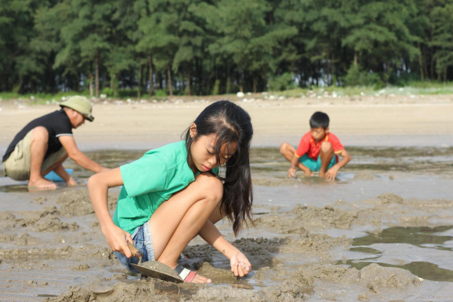 Hàng trăm người chen chúc lật cát tìm ngao trên bãi biển - 12