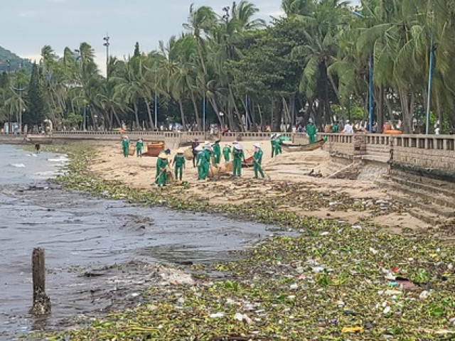 Tin tức trong ngày - CLIP: "Đến hẹn lại lên", rác đại dương đang tấn công bãi biển Vũng Tàu