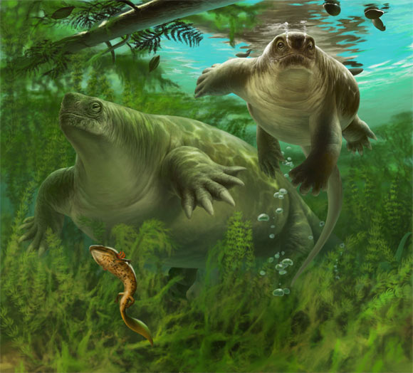 Hai quái vật kỷ Nhị Điệp Lalieudorhynchus gandi - Ảnh: Frederik Spindler