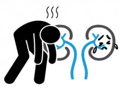 Sức khỏe đời sống - 3 hành vi không thay đổi sẽ khiến 2 quả thận "khóc thét"