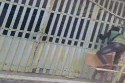 Phi thường - kỳ quặc - Shipper loay hoay tìm cách đưa hàng vào sân cho khách, phát hiện sau đó khiến anh sững sờ