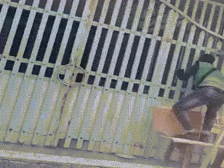 Phi thường - kỳ quặc - Shipper loay hoay tìm cách đưa hàng vào sân cho khách, phát hiện sau đó khiến anh sững sờ