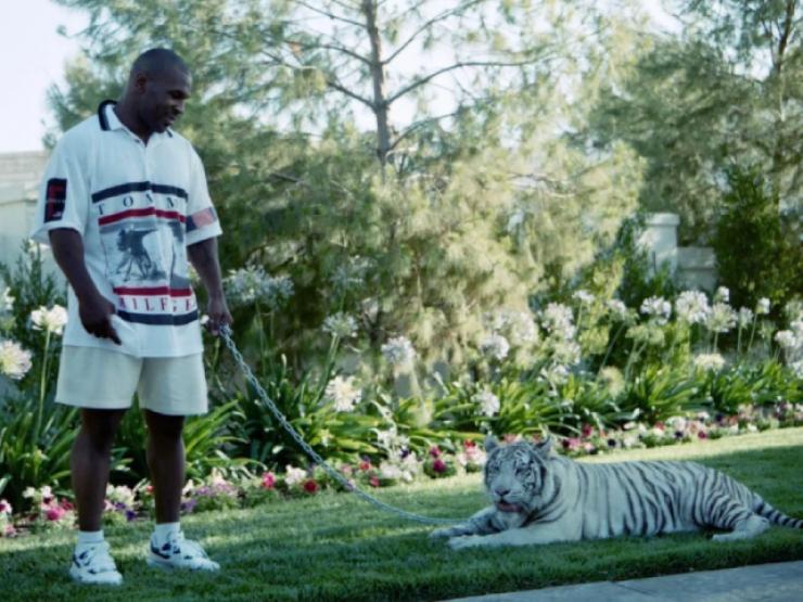 Thể thao - Mike Tyson nuôi 3 hổ dữ trong nhà, "Tay đấm thép" đau khổ vì lộ bí mật