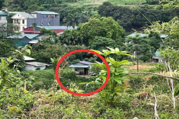 Pháp luật - Cô gái xinh đẹp gặp họa với kẻ “cuồng yêu”: Âm mưu thâm độc