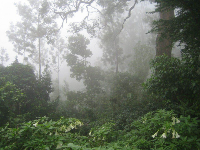 (Ảnh minh họa, không liên quan vụ án)