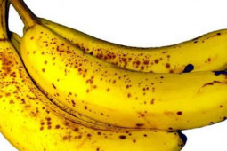 Sức khỏe đời sống - Người bị đau dạ dày phải kiêng ăn chuối đúng hay sai?