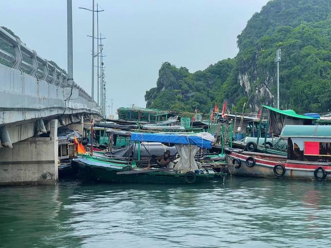 Giám đốc Sở Du lịch Quảng Ninh ông Phạm Ngọc Thuỷ cho biết, trong hôm nay có 6026 du khách tham quan vịnh Hạ Long. Đến thời điểm hiện tại, huyện Vân Đồn có 84 khách (đảo Minh Châu 42 khách, đảo Quan Lạn 20 khách, đảo Ngọc Vừng 22 khách). Đảo Cô Tô có 94 khách, trong đó 1 khách quốc tế.
