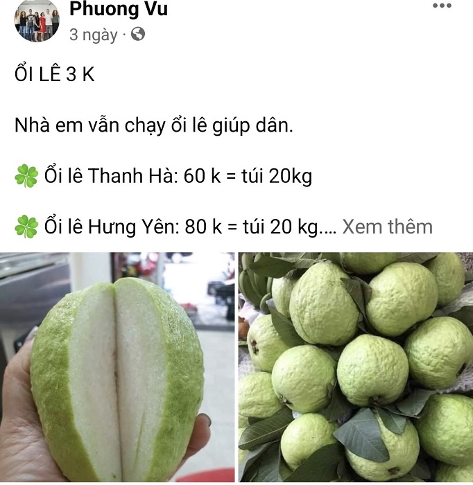 Trên các chợ online, ổi được rao bán với giá "siêu rẻ". (Ảnh chụp màn hình).
