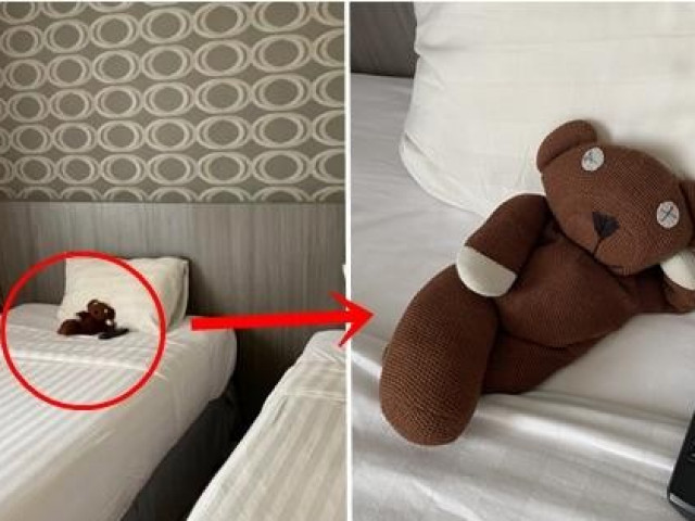 Bạn trẻ - Cuộc sống - Mang theo gấu bông đi công tác, cô gái bất ngờ vì hành động của người dọn phòng khách sạn
