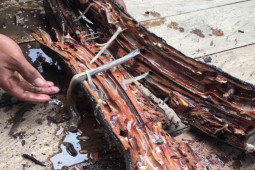 Thị trường - Tiêu dùng - Con "chết yểu" khi gặp không khí, nhìn ghê người mà thành đặc sản giá 250.000 đồng/kg