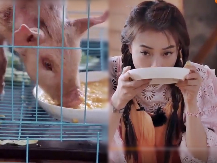 Giải trí - Game show bị chỉ trích vì để nữ diễn viên ăn cám heo