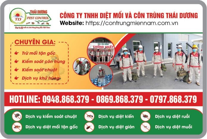 Diệt mối và côn trùng Thái Dương - chất lượng, uy tín, chuyên nghiệp - 7