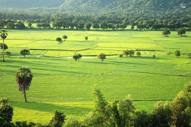 Là tỉnh nằm đầu nguồn vùng đồng bằng sông Cửu Long, nguồn nước ngọt dồi dào nên An Giang có thuận lợi phát triển nông nghiệp
