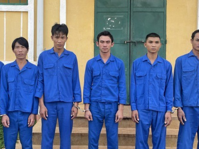 Pháp luật - Bắt tạm giam 7 đối tượng bẫy trộm hàng trăm con mèo