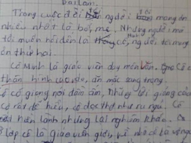 Giáo dục - du học - Bài văn bóc phốt biểu cảm của cô giáo khiến dân tình dở khóc dở cười