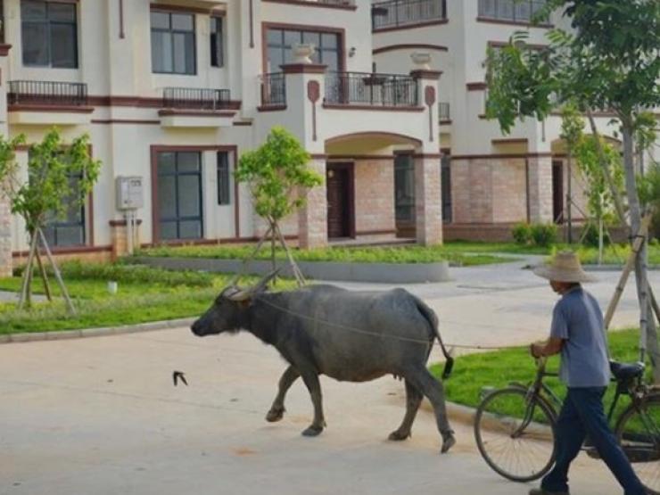 Kinh doanh - Làng nghèo "đổi đời", mỗi hộ nông dân được phát một biệt thự tiền tỷ