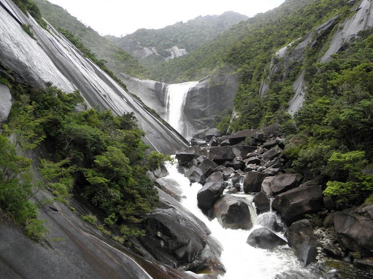 Yakushima – khu rừng tuyết tùng tuyệt đẹp là bối cảnh của bộ phim Công chúa Mononoke nổi tiếng - 1