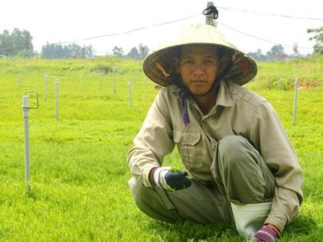 Thị trường - Tiêu dùng - Khởi nghiệp thành công với thu nhập tiền tỉ nhờ thuần hóa rau dại thành đặc sản
