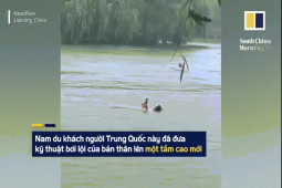 Phi thường - kỳ quặc - Video: "Siêu kình ngư" vừa bơi vừa lướt điện thoại