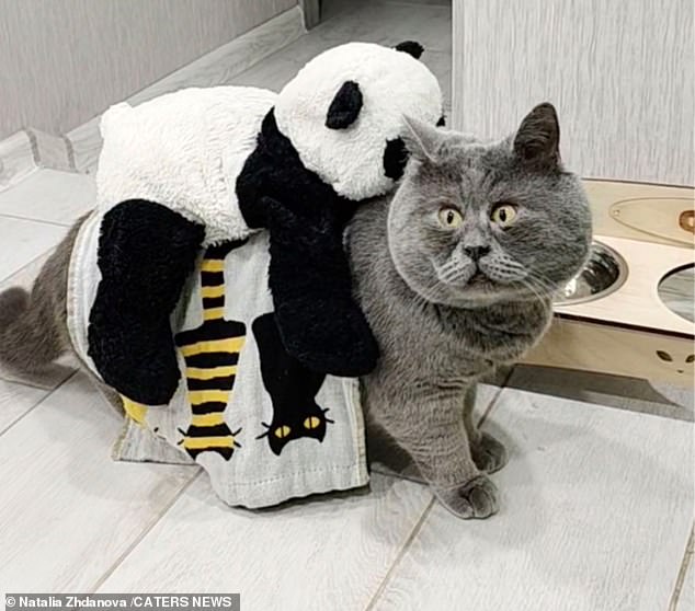 Fedya đôi khi có thể được nhìn thấy diễu hành quanh nhà với một món đồ chơi mềm gấu trúc trên lưng