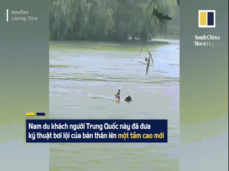 Phi thường - kỳ quặc - Video: "Siêu kình ngư" vừa bơi vừa lướt điện thoại