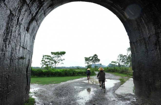 Thu hoạch đài sen - Ảnh: Thành nhà Hồ
