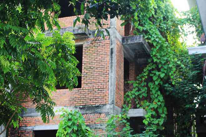 Do không có người ở, nên các biệt thự
xây thô bị dây leo, cỏ dại bao vây 