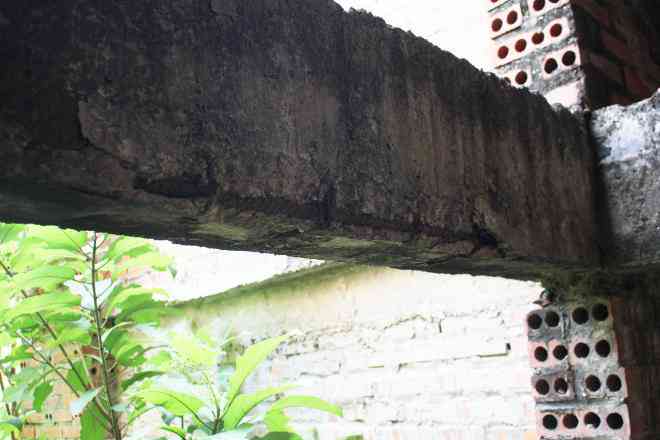 Bắc Ninh: Biệt thự tiền tỷ bỏ hoang thành nơi nuôi thả gà nhiều năm - 11