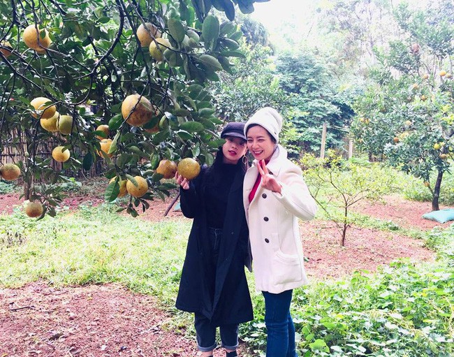 Niềm vui mỗi tháng, thậm chí là mỗi tuần của
nữ diễn viên là cùng gia đình lái xe về khu vườn để thu hoạch các
loại rau, quả sạch.