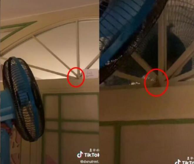 Lo lắng con gái ở một mình không quen, ông bố mang đến &#34;vật hộ mệnh&#34; khiến dân tình cười ngất - 3