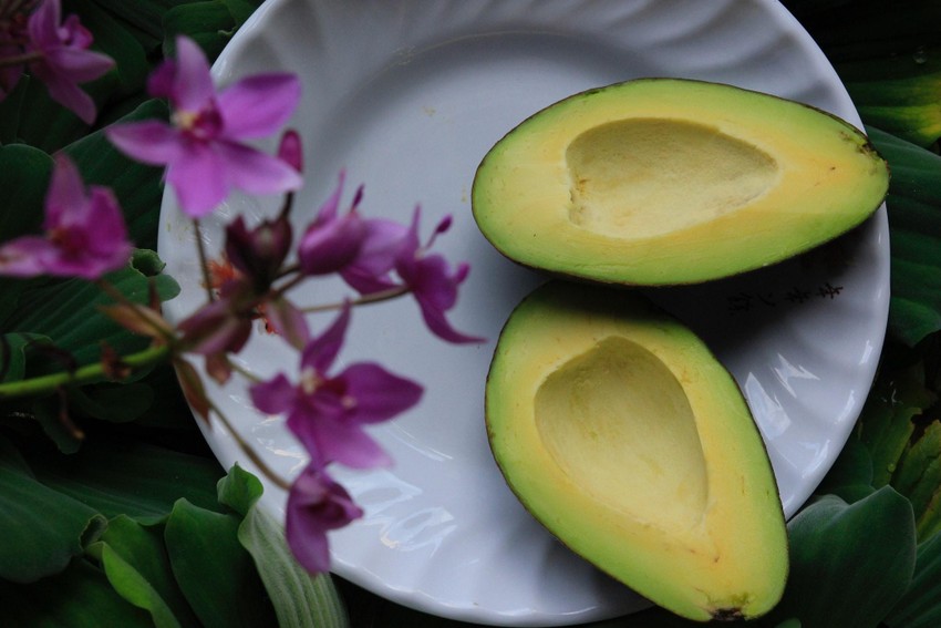 Bơ chứa nhiều vitamin E và kẽm, giúp cải thiện chất lượng tinh trùng. Ảnh: Pexels