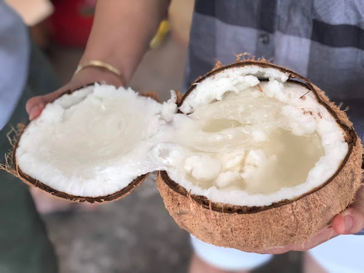 Loại trái cây có tiếng của tỉnh là dừa sáp. Năm 2021, dừa sáp Trà Vinh lần đầu tiên xuất khẩu bằng máy bay sang Úc với số lượng 2000 quả.
