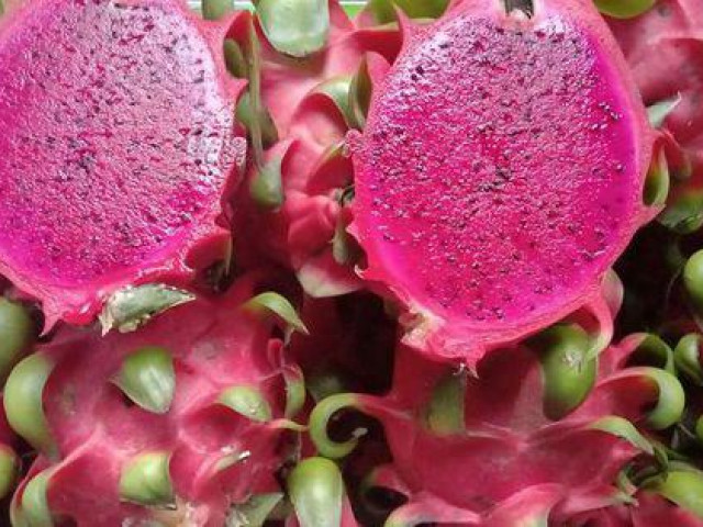 Sức khỏe đời sống - Thanh long ruột đỏ giúp giữ dáng, đẹp da, tốt cho sức khỏe nhưng ai không nên ăn để tránh gặp họa?