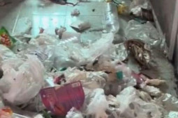 Bạn trẻ - Cuộc sống - Nữ khách trọ để lại tài sản kinh hoàng, chủ nhà sốc nặng vì địa ngục trần gian trước mắt