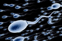 Sức khỏe đời sống - Kết hôn 5 năm không có con, người đàn ông đi khám phát hiện không có “con giống”