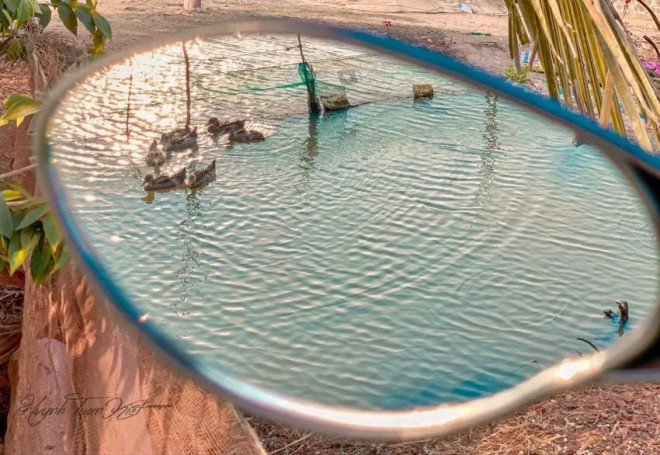 Những tác phẩm quê hương trên Facebook được rất nhiều người yêu thích. Ảnh: Tuấn Kiệt