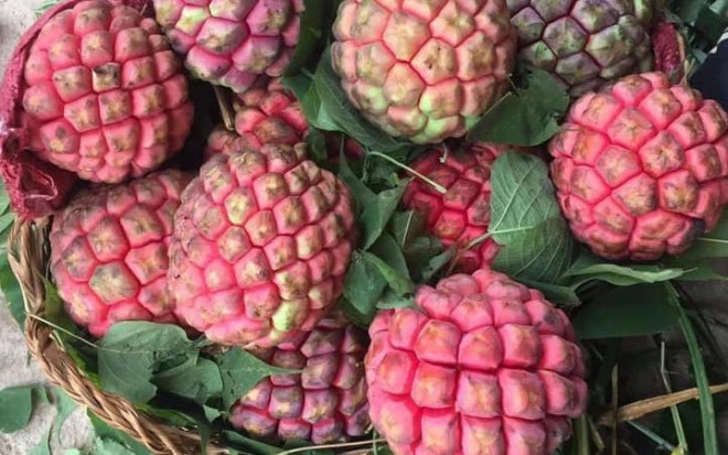 Na ruột đỏ dù giá cao gấp 3 lần na bình thường nhưng nhiều người vẫn săn lùng mua