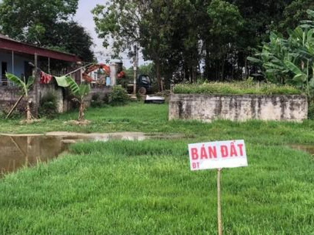 Pháp luật - 3 người phụ nữ bị lừa hơn 12 tỉ đồng