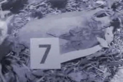 Pháp luật - Xác chết dưới ao bèo và quá trình lật mặt gã hàng xóm thú tính (P2): Cảnh “nóng” trong phim khiến gã trai trẻ nổi "máu dê"