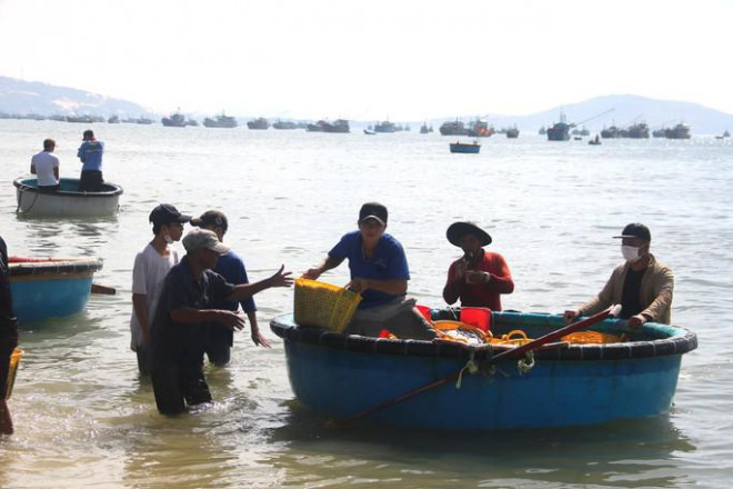 Ngư dân vận chuyển cá cơm từ bãi sau Mũi Né vào bến