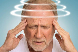 Loài hải sản hiếm ở Việt Nam có tên rất lạ, ngon hơn tôm hùm, giá 2 triệu đồng/kg