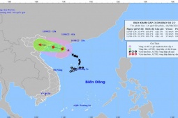 Tin tức trong ngày - La Nina kéo dài bất thường, mưa bão được dự báo dồn dập về cuối năm