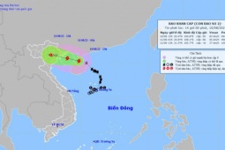 Tin tức trong ngày - La Nina kéo dài bất thường, mưa bão được dự báo dồn dập về cuối năm