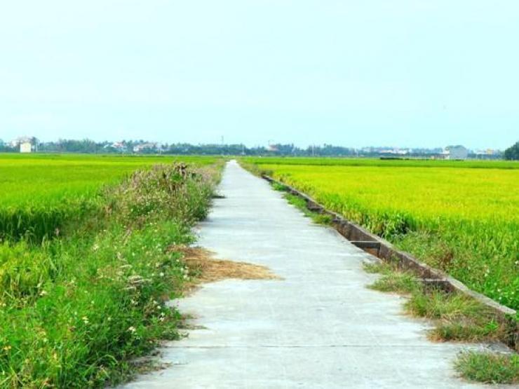 Pháp luật - Cái chết của thầy cúng và tội ác từ mối tình đồng tính: Thi thể trên cánh đồng vắng